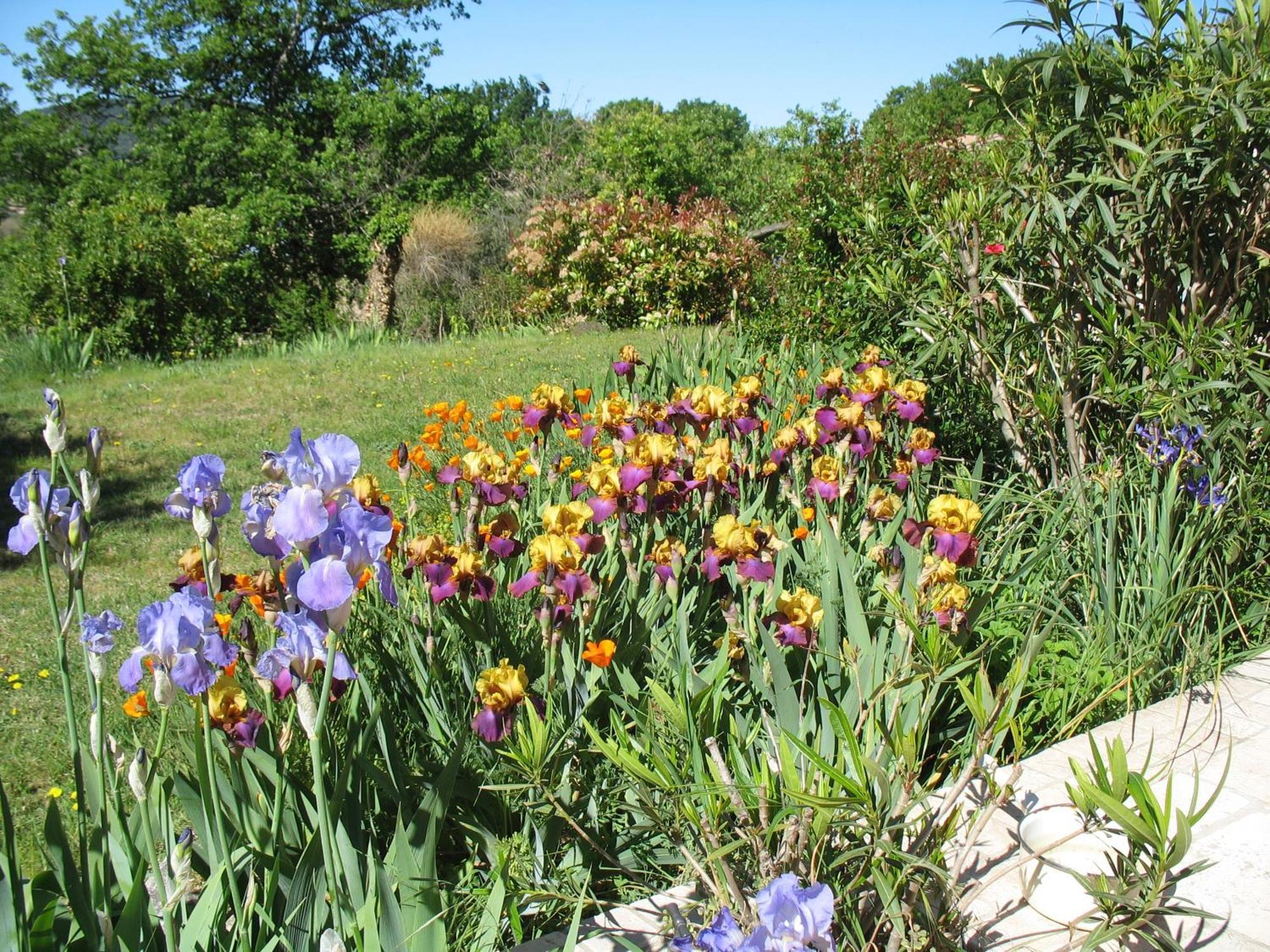 Bed & Breakfast La Cigaline Villedieu (Vaucluse)